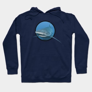 shark Hoodie